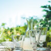 La Rochere Bee Wine Glass. Set of 6