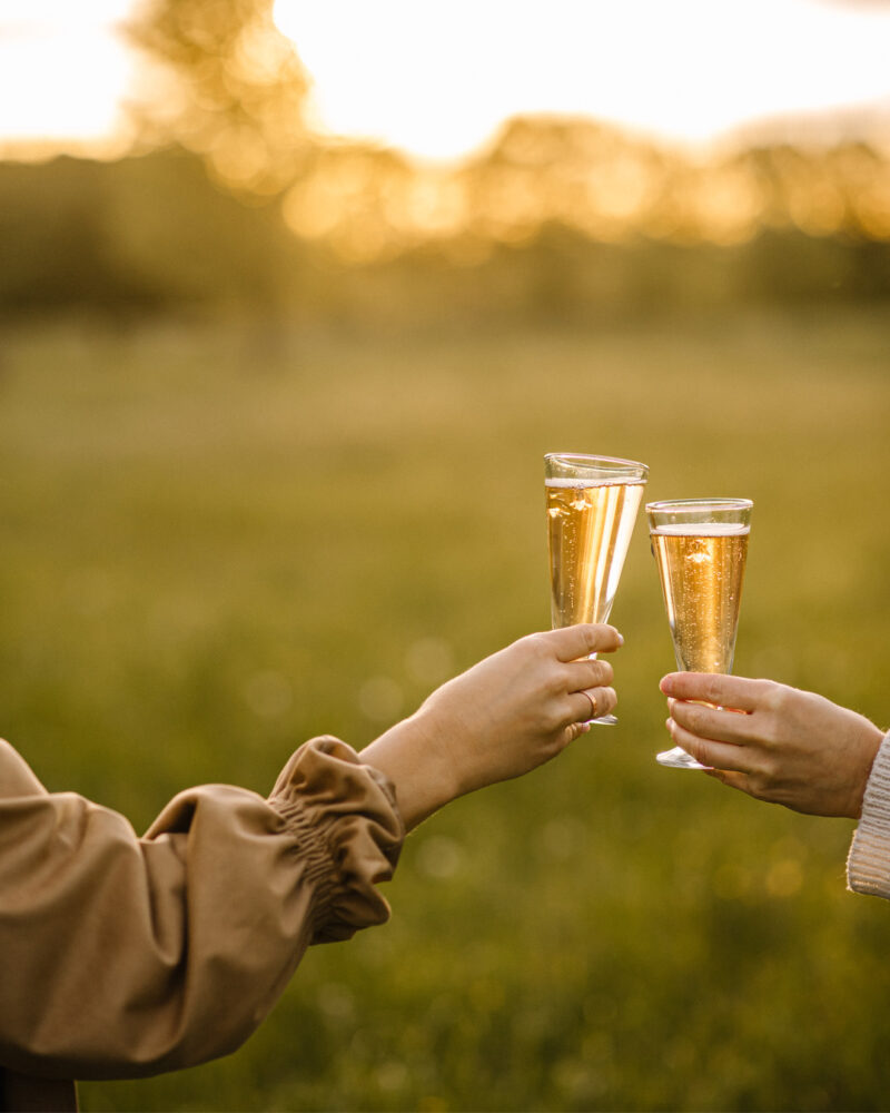 La Rochere Bee Champagne Flutes Toasting